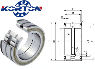SL Cylindrical roller bearing with full complement rollers SL045024PP